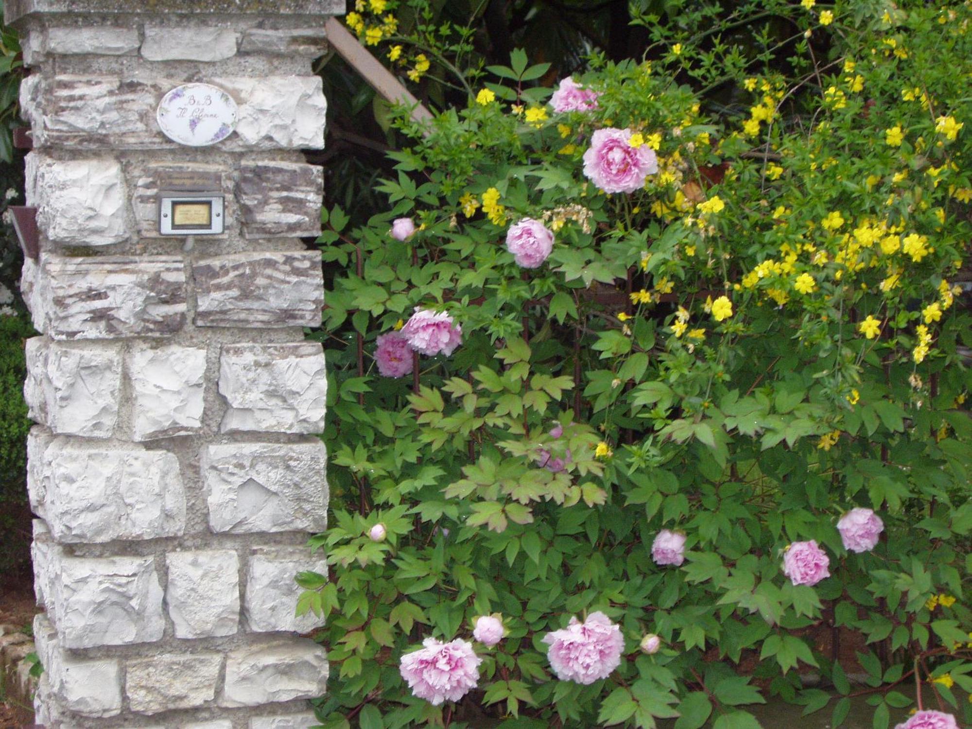 B&B Il Glicine Bedizzole Dış mekan fotoğraf