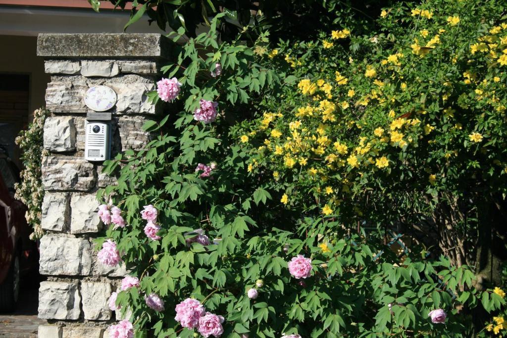 B&B Il Glicine Bedizzole Dış mekan fotoğraf