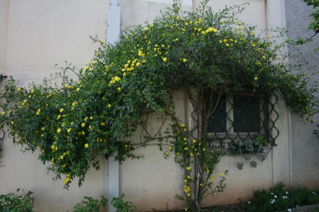 B&B Il Glicine Bedizzole Dış mekan fotoğraf