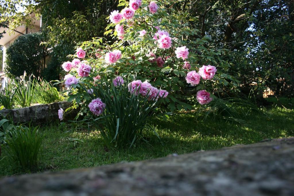 B&B Il Glicine Bedizzole Dış mekan fotoğraf
